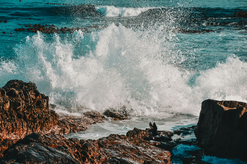 green ocean unsplash